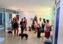 Guerrero, Acapulco impulsa capacitación turística con cursos de inglés / @AbelinaLopezR