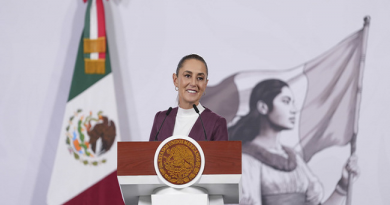 La presidenta Claudia Sheinbaum Pardo asegura la riqueza mineral y las fronteras ecológicas de México mediante una reforma política decisiva / @Claudiashein @GobiernoMX >>>